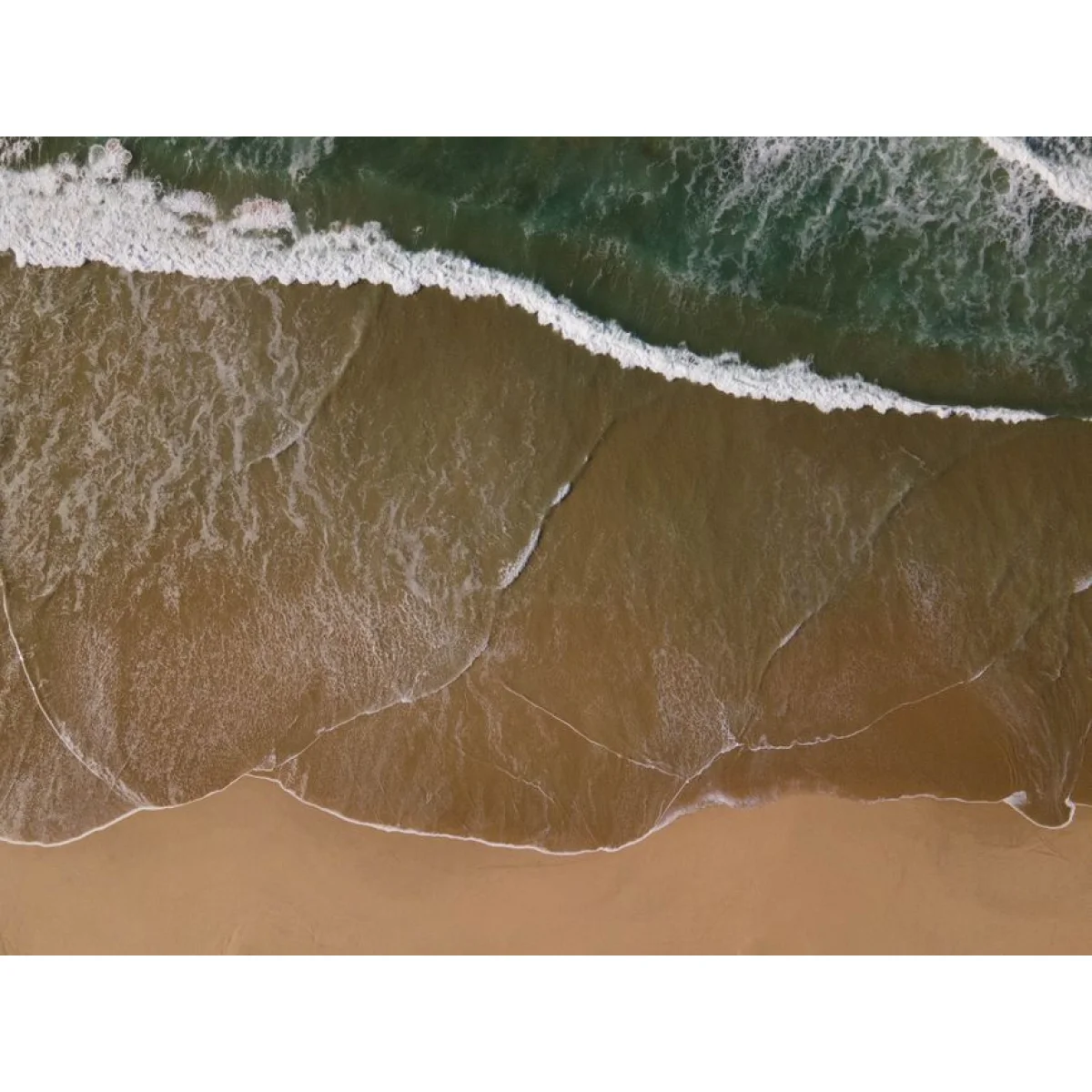 Assorted Saltwater Surf Trace Pack